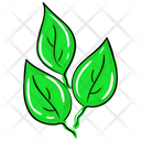 Eco Leaves Organic Leaves Natural Leaves Icon