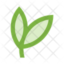 Leaves Branch Icon