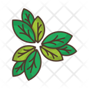 Leaves Thicket Icon