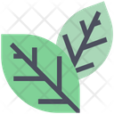 Summer Leaves Green Icon