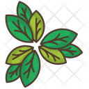 Leaves Thicket Nature Icon