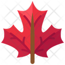 Leaves Maple Canada Icon