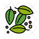 Leaves Pepper Plant Icon