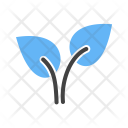 Leaves Icon