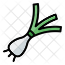 Leek Onion Garlic Icon