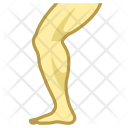 Leg Icon