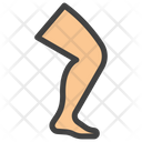 Leg  Icon
