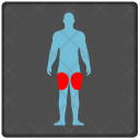 Legs Trainings Man Icon
