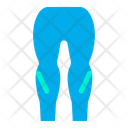 Leggings Icon