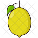 Lemon Citrus Fruit Icon