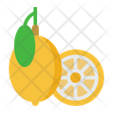 Lemon Citrus Vitamin Icon