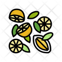 Lemon Citrus Icon