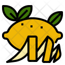 Lemon Peel Smell Icon