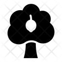 Lemon Tree Icon