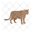 Leopard Animal Wildlife Icon