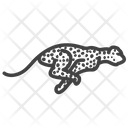 Leopard Felin Wild Animal Icon