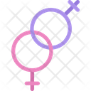 Lesbian Gender Sex Icon