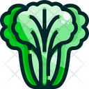 Lettuce Butter Lettuce Vegetable Icon