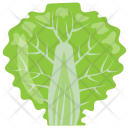 Lettuce Romaine Leaf Icon