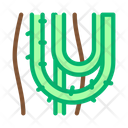 Liana Plant Jungle Icon