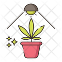 Lighting Icon