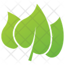 Lilac Leaf Design Leaves Logo Design Leaves Icon