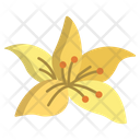 Lilly Flower Flowers Icon