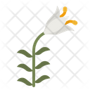 Lily Flower Garden Icon