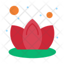 Lily Lotus Spa Icon