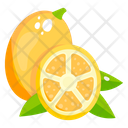 Lime Fruit Healthy Food Icon