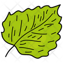 Lime Leaf Leaf Foliage Icon