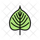 Linden Leaf Tree Icon
