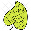 Linden Leaf Leaf Foliage Icon