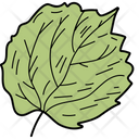 Linden Leaf Leaf Foliage Icon