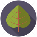 Linden Tree Nature Icon