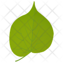Linden Leaf  Icon