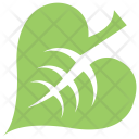 Linden Leaf  Icon