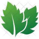 Linden Leaves  Icon