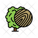 Linden Wood  Icon