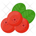 Lingonberry Berry Fruit Berries Icon