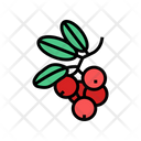 Lingonberry Icon