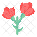 Linifolia Tulip Icon