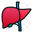 Liver Human Organ Icon