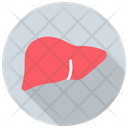 Liver Icon