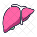 Liver Icon