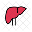 Liver Hepatology Medical Icon