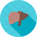 Liver Organ Body Icon