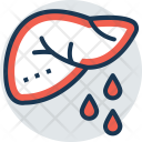 Liver Function Test Icon