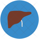 Liver Anatomy Gall Icon