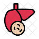 Liver Infection Germs Icon